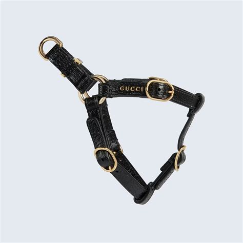 feline gucci|gucci collar for dogs.